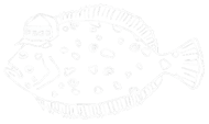 Following Seas Guide Service