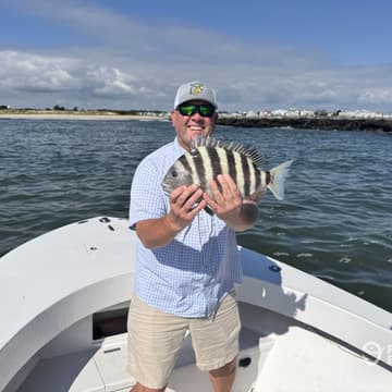 Beautiful bluefish catch